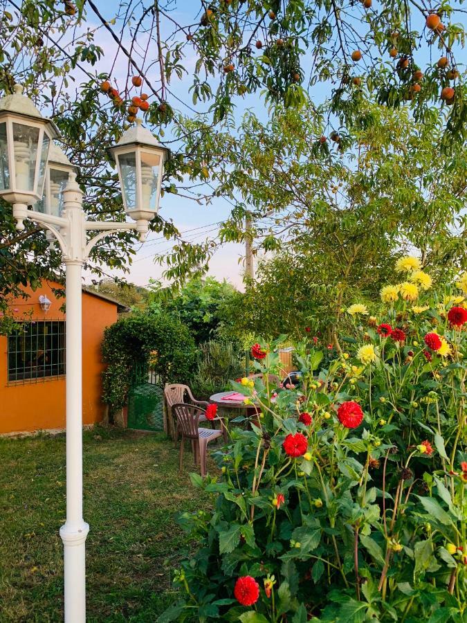 Vivienda Vacacional El Majo Pola de Siero Ngoại thất bức ảnh